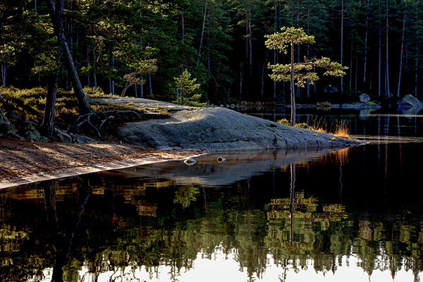 Tallen. Stora trehörningen/Tiveden. Canon 5D och EF 70-200/2,8. Tid 1/8. bl. 20 och ISO 125.