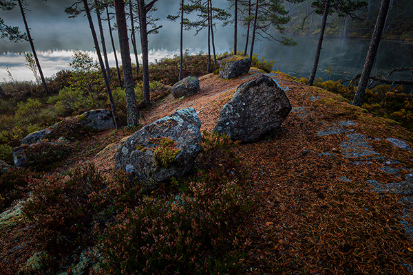 Stenarna. Trollkyrkesjön/Tiveden. Canon 5DSR och TS-E 24/3,5 II. Tid 2 sek. bl. 11 och ISO 100.