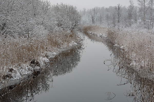 Örlan. Noloset/Tibro. Canon 5D MKIII och TS-E 90/2,8 . Tid 1/13. bl. 13 och ISO 100.
