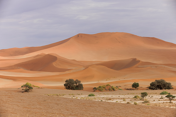 Namiböknen. Sossusvlei/Namibia. Canon R5 och EF 70-200/2,8 IS II. Tid 1/80, b. 10 och ISO 100 + fokusstacking.